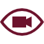 video-viewer_1.original